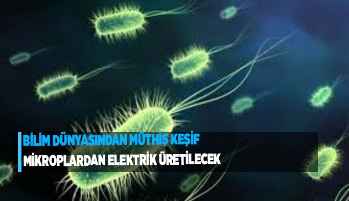 Bilim dünyasından müthiş keşif: Mikroplardan elektrik üretilecek