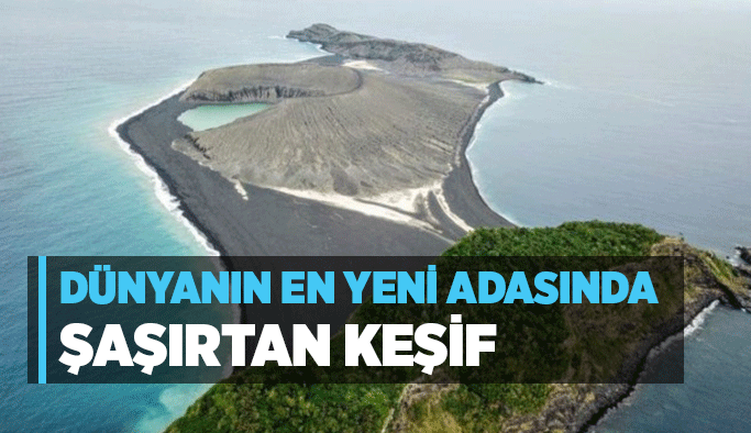 Dünyanın en yeni adasında şaşırtan keşif