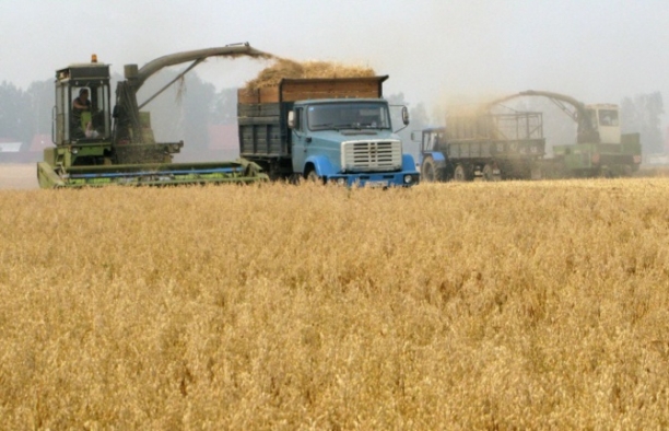 Kazakistan'dan tarım ithalatı yüzde 45 arttı