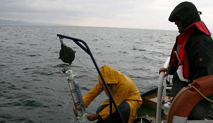 ‘Körfez’deki deniz analarının artması kirlilikten değil, iklim değişikliğinden’