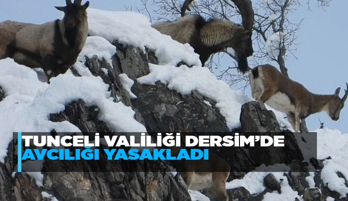 Tunceli Valiliği Dersim’de Avcılığı Yasakladı