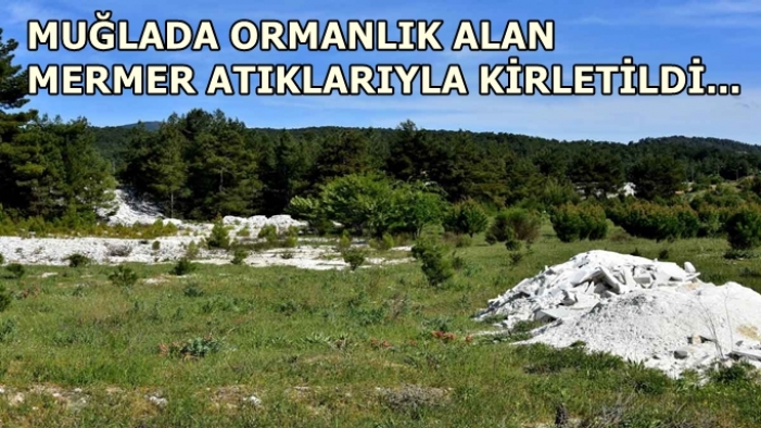 Muğla'da ormanlık alan mermer atıklarıyla kirletildi