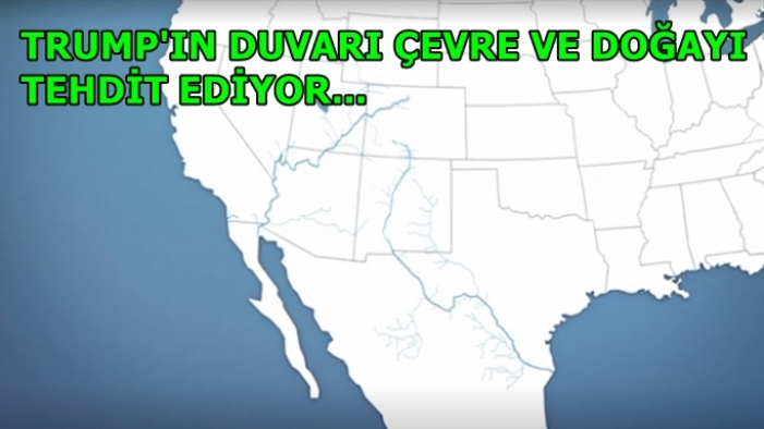 Trump'ın duvarı doğayı ve vahşi yaşamı da tehdit ediyor