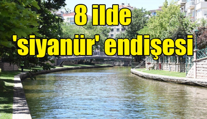 8 ilde 'siyanür' endişesi