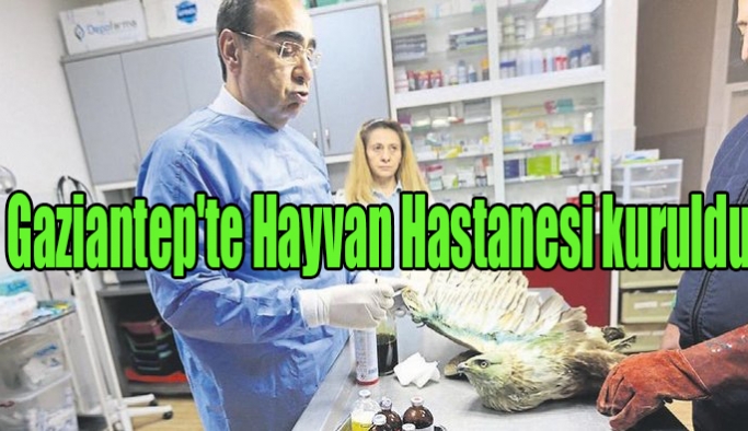 Gaziantep'te Hayvan Hastanesi kuruldu