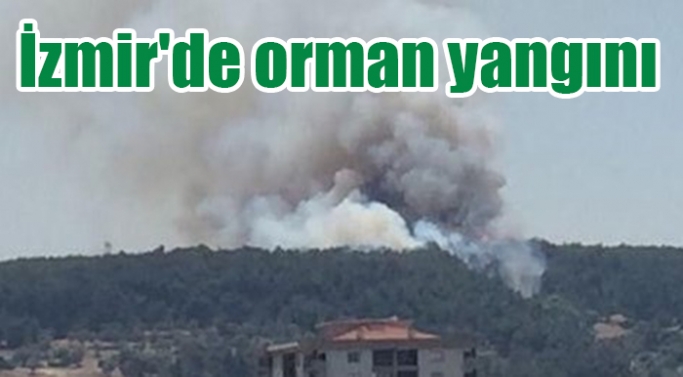 İzmir'de orman yangını