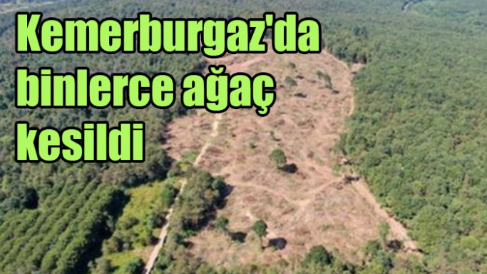 Kemerburgaz'da binlerce ağaç kesildi