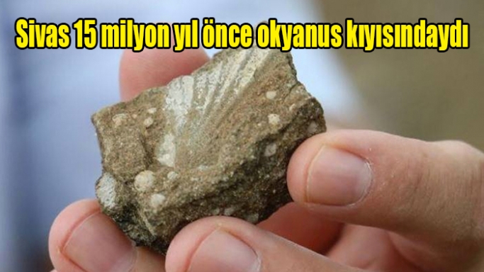 Sivas 15 milyon yıl önce okyanus kıyısındaydı