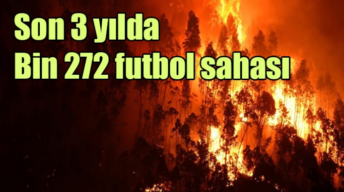 Son 3 yılda Bin 272 futbol sahası kadar ormanlık alan kül oldu
