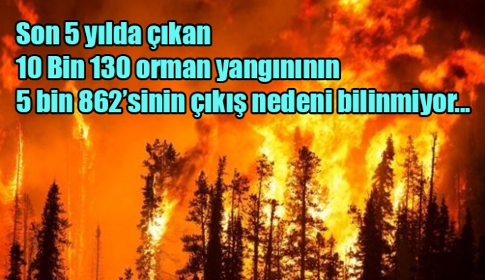 Son 5 yılda çıkan 10 Bin 130 orman yangınının 5 bin 862’sinin çıkış nedeni bilinmiyor...
