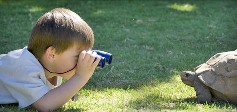 Çevre Haber : Günün Fotoğrafı