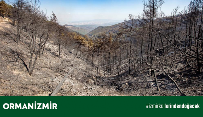 Büyükşehir’den, büyük kampanya “Orman İzmir”