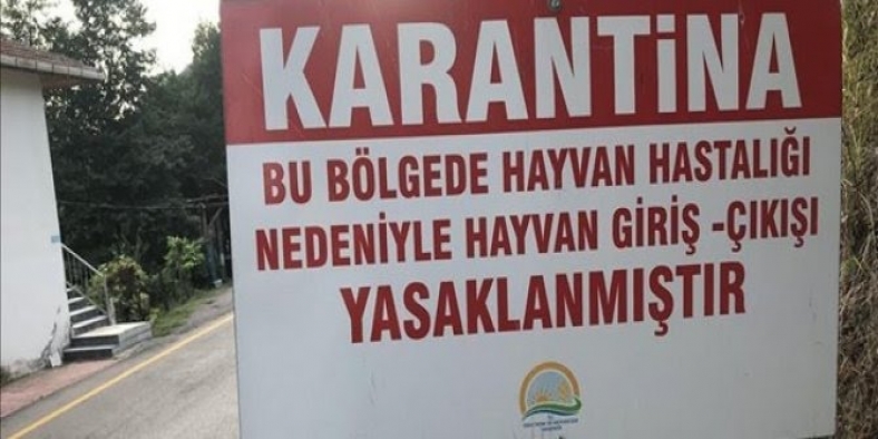 Denizli'de kuduz karantinası! 15 mahallede giriş çıkışlar yasaklandı