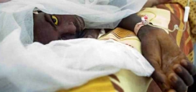 Nijerya'da sarı humma salgınında 115 kişi öldü