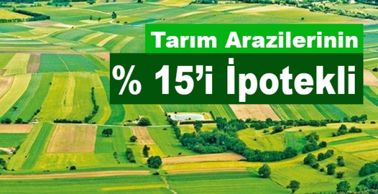 Türkiye’deki tarım arazilerinin yüzde 15’i ipotekli