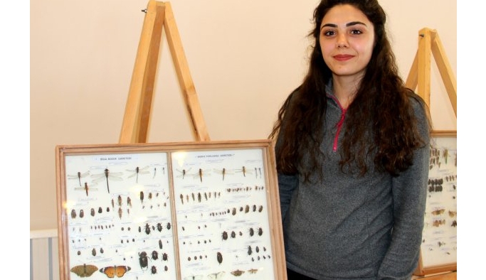 Yüzlerce türden 2 bin 500 adet böcek Erzurum’da sergileniyor
