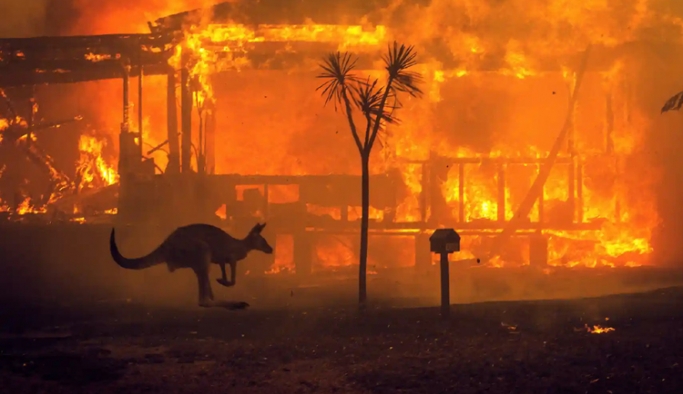 Avustralya'daki yangınlarla ilgili kabus gibi açıklama!