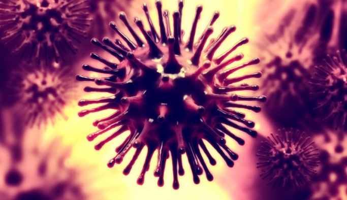 Ölümcül virüs Okyanusya'ya kadar sıçradı!