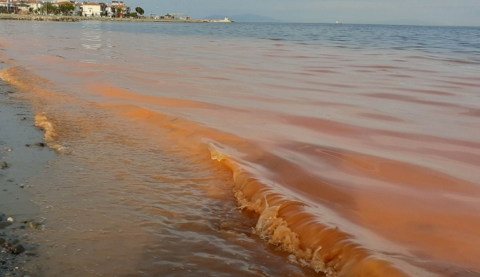 Şarköy'ün 62 km'lik kıyı şeridi turuncu renge boyandı
