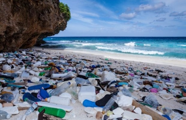 2050 yılında, okyanuslardaki plastik atıkların miktarı balıkları geçebilir