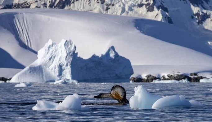Türkiye Antarktika için Çevre Koruma Protokolünü imzaladı