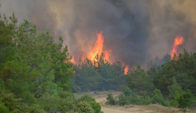 Gelibolu Yarımadası'nda büyük yangın! Köyler boşaltılıyor
