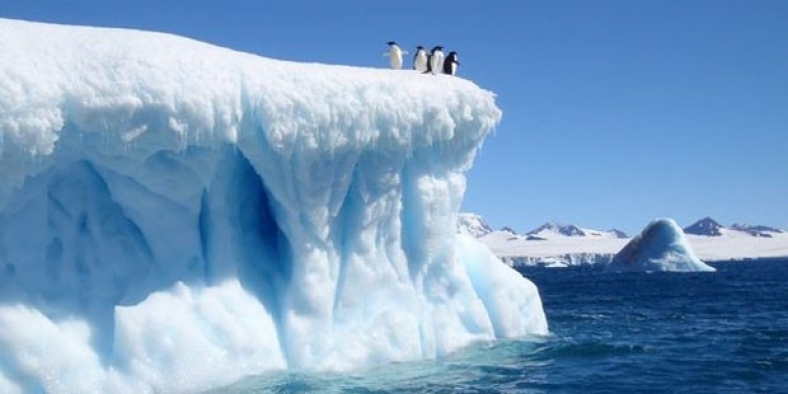 Antarktika’taki buz sahanlığının yüzde 60’ı kırılma riski altında