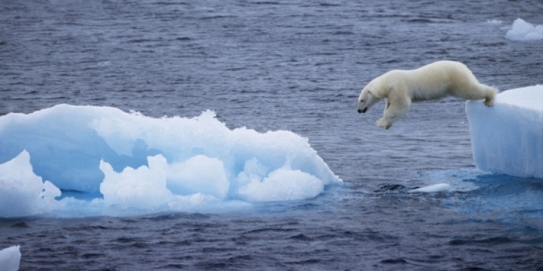 Kuzey Buz Denizi'ndeki buzullar tarihin en düşük seviyesinde