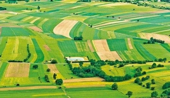 Hazineye ait tarım arazileri üretime açılıyor