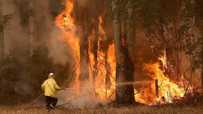 Orman yangınları kısır döngü yaratıyor