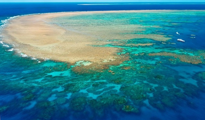 UNESCO korumasındaki mercanların yarısı yok oldu
