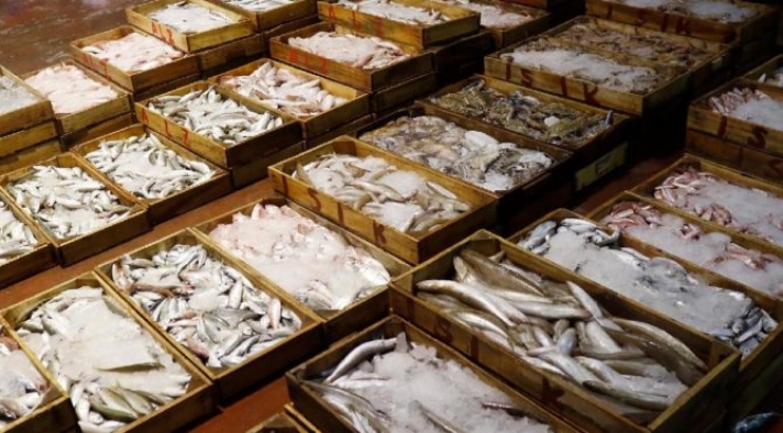 FAO: Akdeniz ve Karadeniz'deki avcılığın 230 bin tonu ıskarta