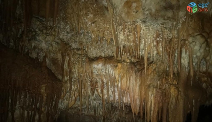 Küre Dağları Milli Parkı’nda 3’ü yatay 2’si dikey 5 mağara keşfedildi