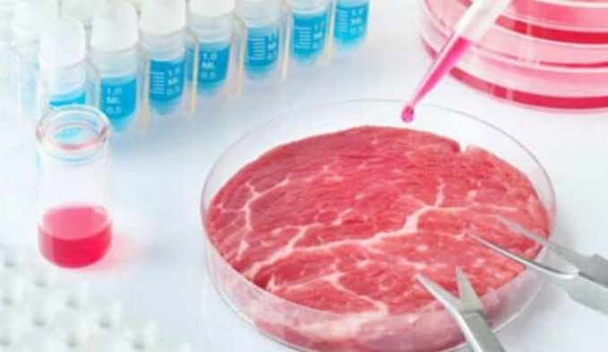 Laboratuvar ortamında yağ ve kas hücrelerinden oluşan et türü geliştirildi
