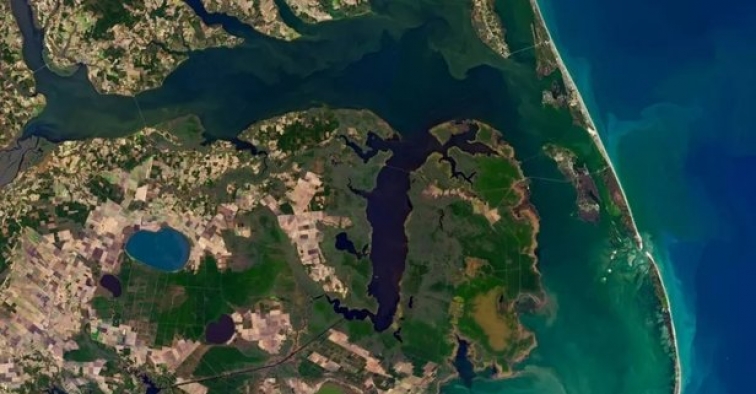 NASA, hayalet ormanları uzaydan görüntüledi