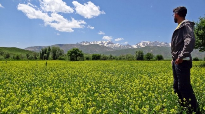 İsviçreli turist dağlarımıza hayran kaldı