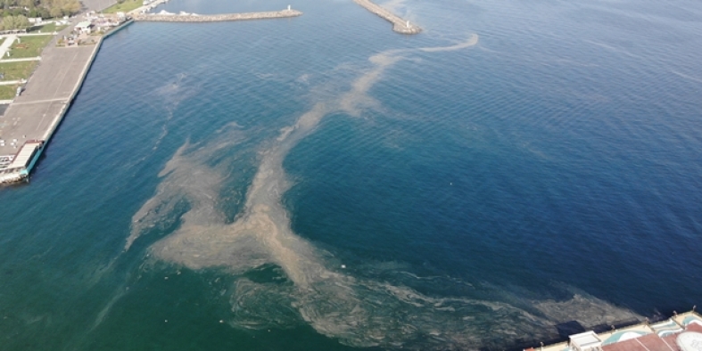 Marmara Denizi'nde 'İklim değişikliği mücadele planı geliştirilmeli' önerisi