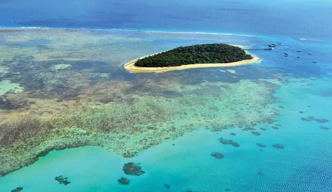 UNESCO'ya göre Büyük Bariyer Resifi'nin Dünya Mirası Listesi'ne dahil edilmesi gerekiyor