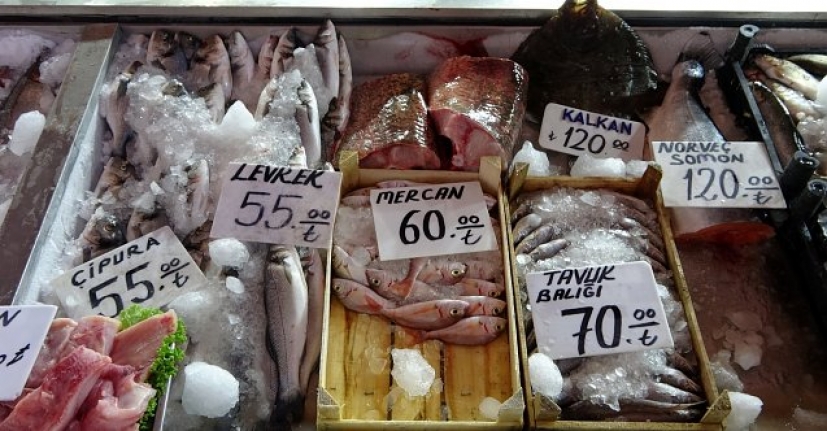Sezon açıldı, balıklar yüksek fiyatlardan alıcı buluyor!
