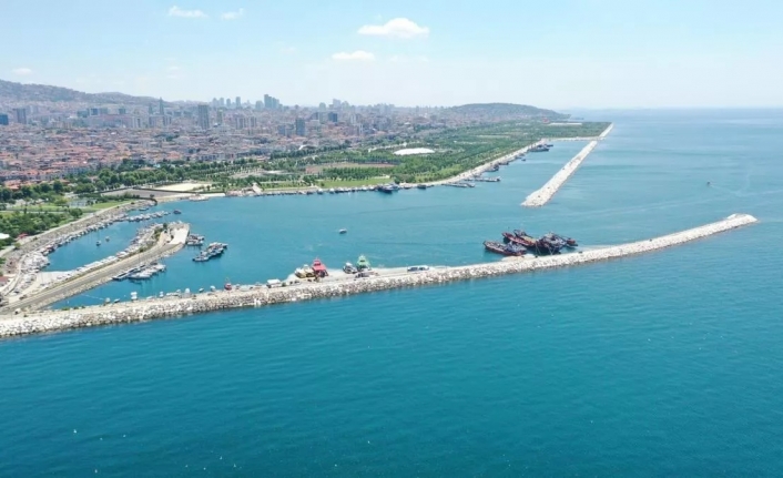 "Marmara Denizi, küresel iklim değişikliği ve kirliliğe bağlı olarak ısınıyor"