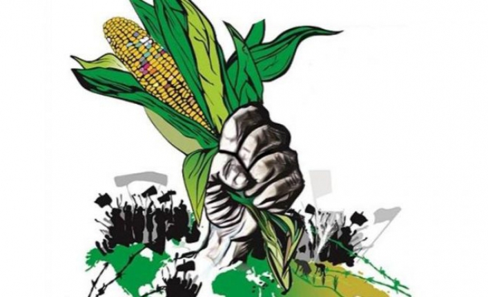 ‘Gıda egemenliği yoksa gelecek yok’ diyen üreticiler ve kooperatifler 28 Kasım’da bir arada