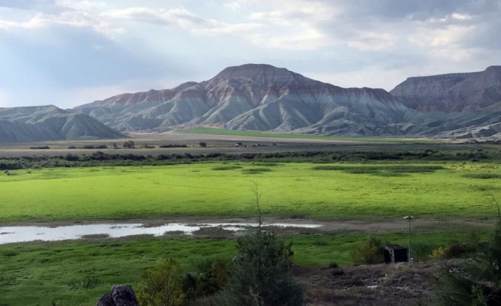 Nallıhan Kuş Cenneti'ndeki santral tehdidi, raporla ortaya konuldu