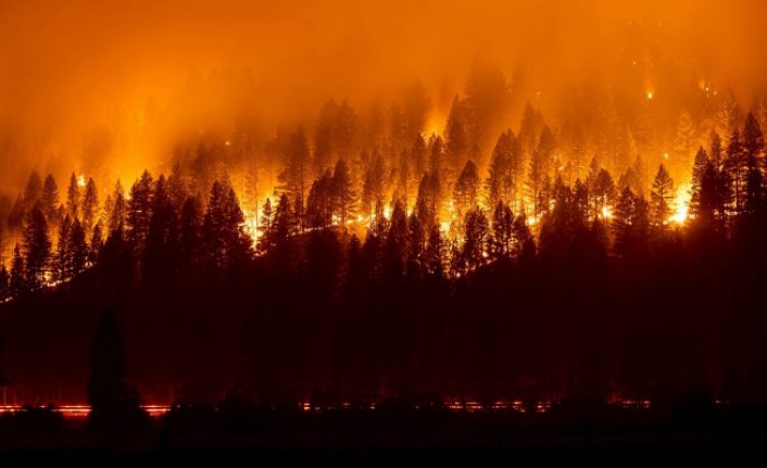 Orman yangınları bu yıl rekor karbon emisyonu yaydı