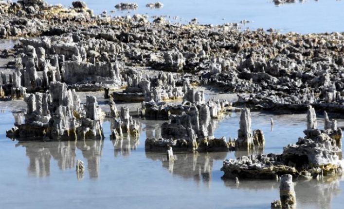 Van Gölü’nde suların çekilmesiyle mikrobiyalitler ortaya çıktı