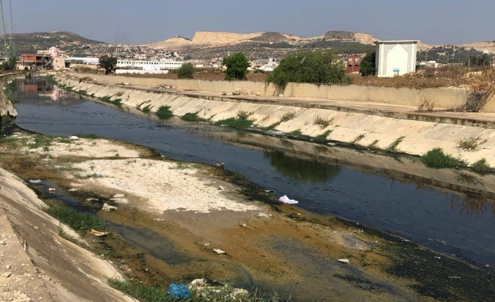 Nehirlere atılan ilaçlar 'küresel sağlık için risk oluşturuyor'
