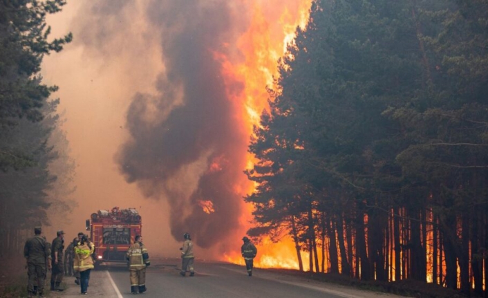 Rusya’daki Orman Yangınları 2021’e Kıyasla Çok Daha Şiddetli