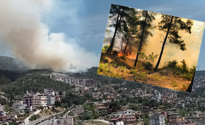 Hatay'da orman yangını kontrol altına alındı: 15 hektar alan zarar gördü