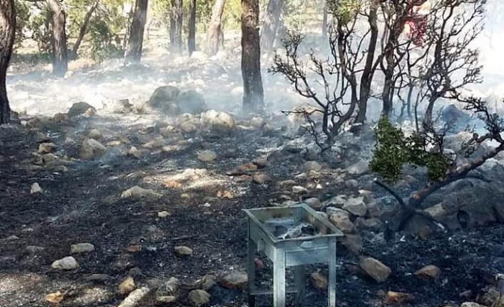 Orman Genel Müdürü Karacabey'den bayram için "orman yangını" uyarısı!