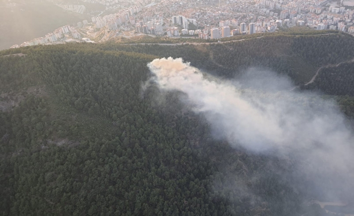 Balçova'da çıkan orman yangını kontrol altına alındı