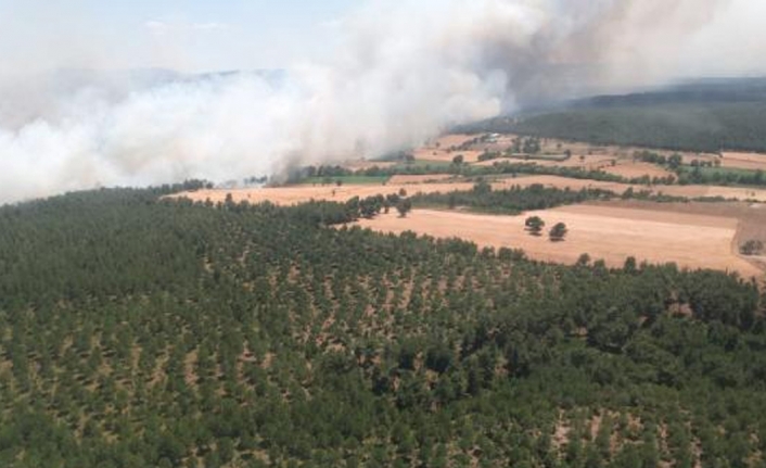 Çanakkale'de tarladaki yangın ormana sıçradı